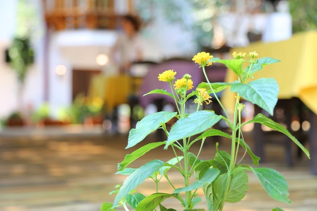 Akyaka Yali Capkini Hotel Екстериор снимка